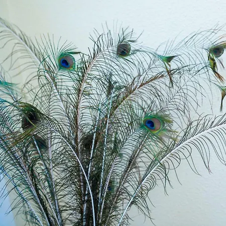 شقة Comodo A 10 Min Del Centro لقنت