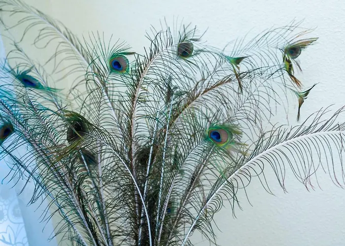 דירה Comodo A 10 Min Del Centro אליקאנטה